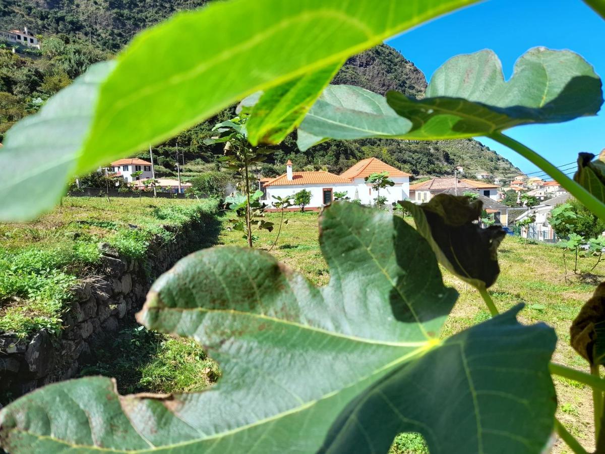 Willa Casa Do Bago São Vicente Zewnętrze zdjęcie